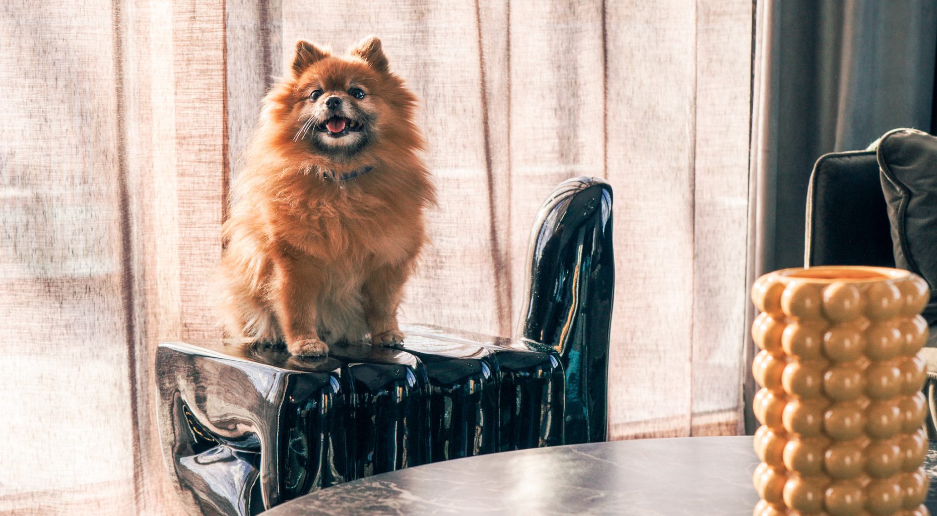 backstage pet friendly stockholm